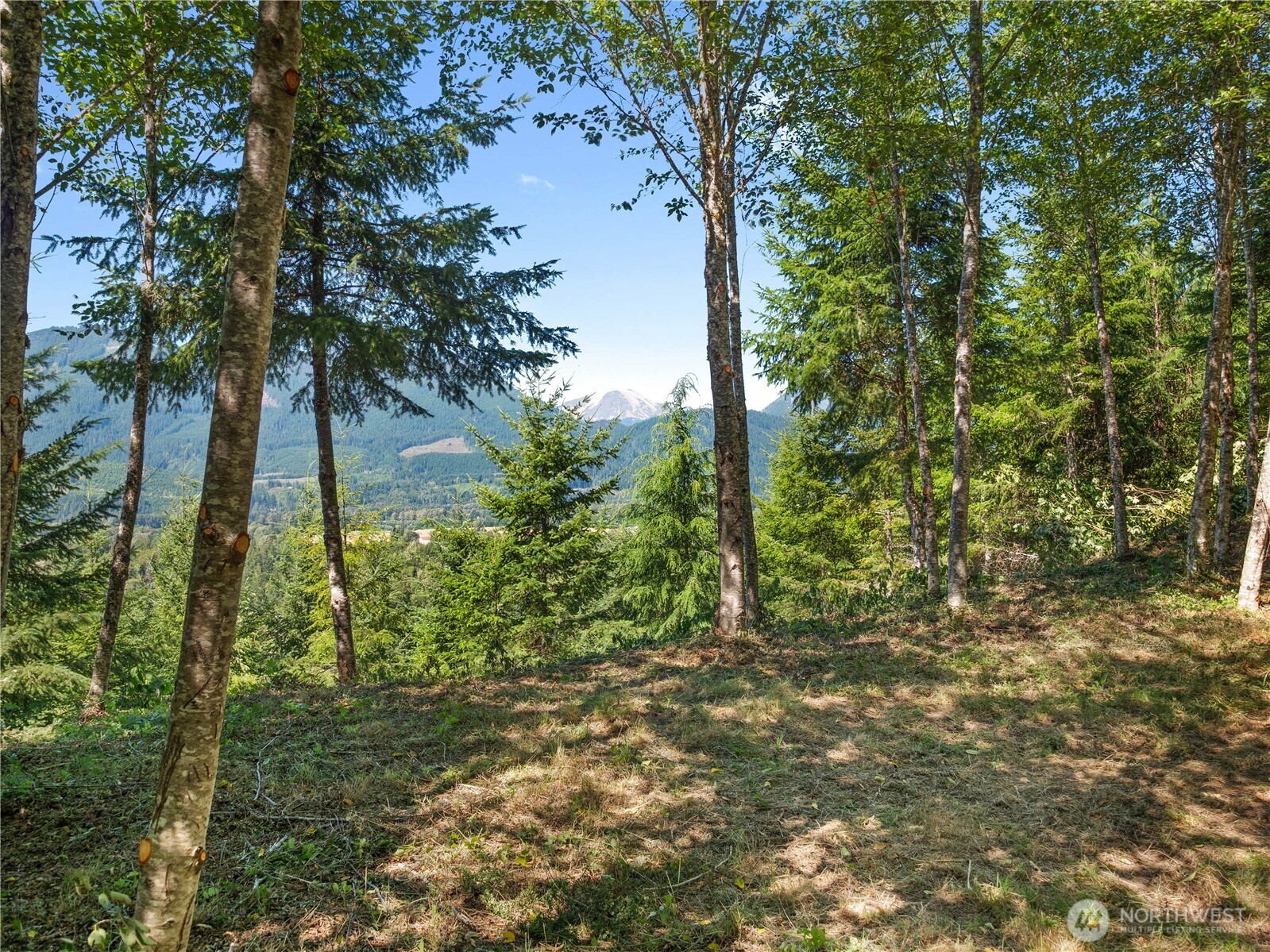 4 Skinner Road Randle, WA 98377 - Photo 31 of 36 a view of a yard