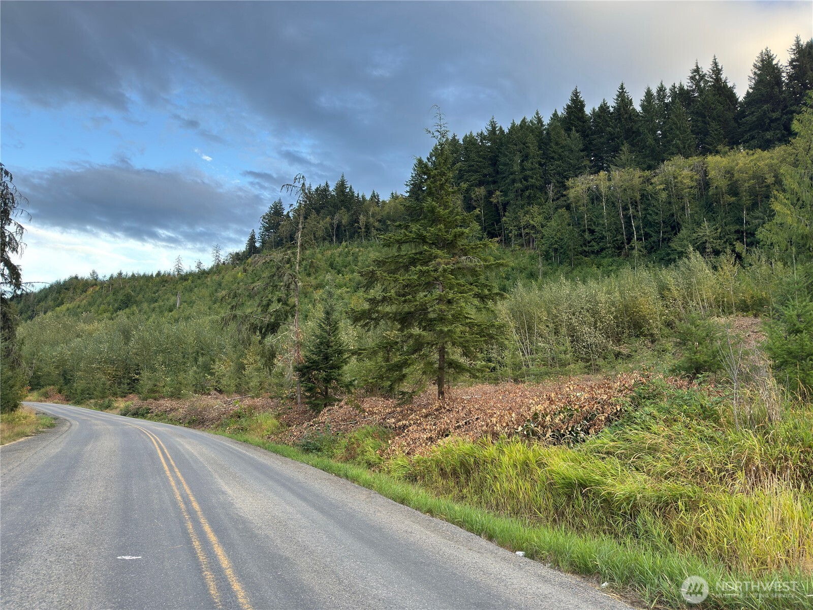 4 Skinner Road Randle, WA 98377 - Photo 5 of 36 a view of a street view