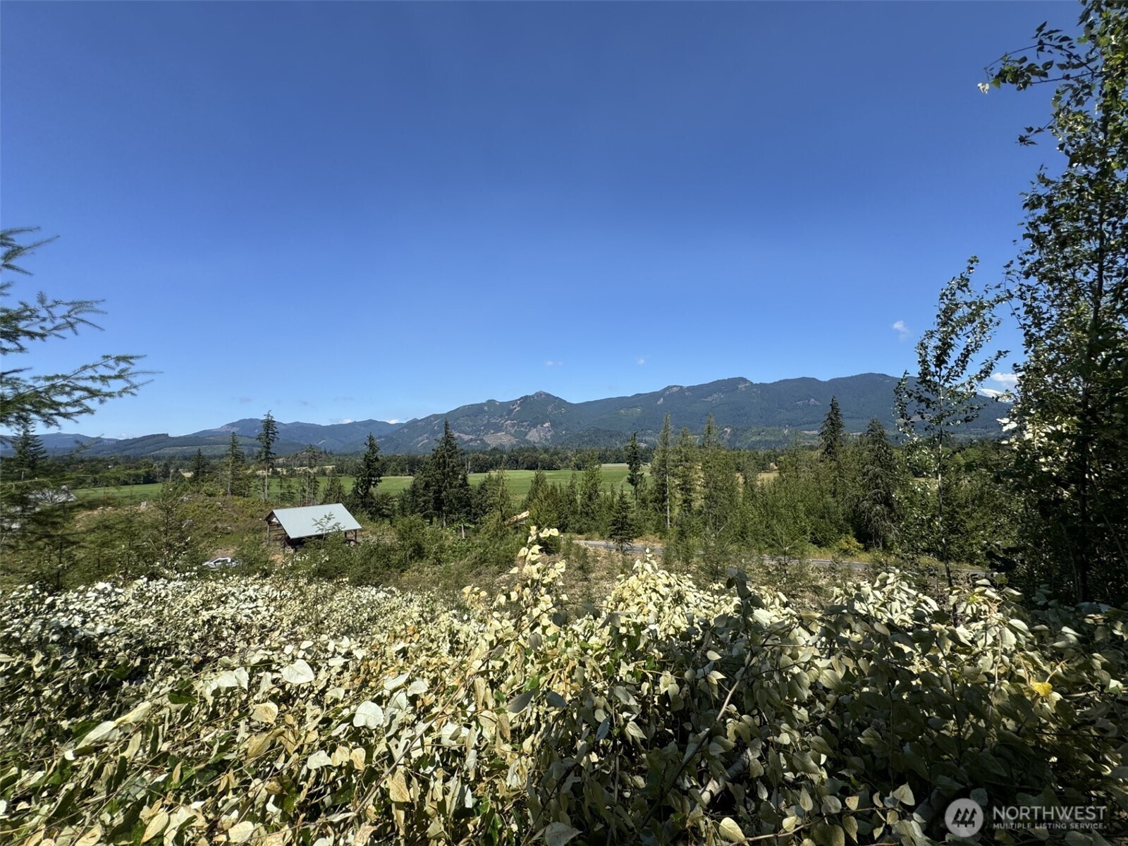 4 Skinner Road Randle, WA 98377 - Photo 7 of 36