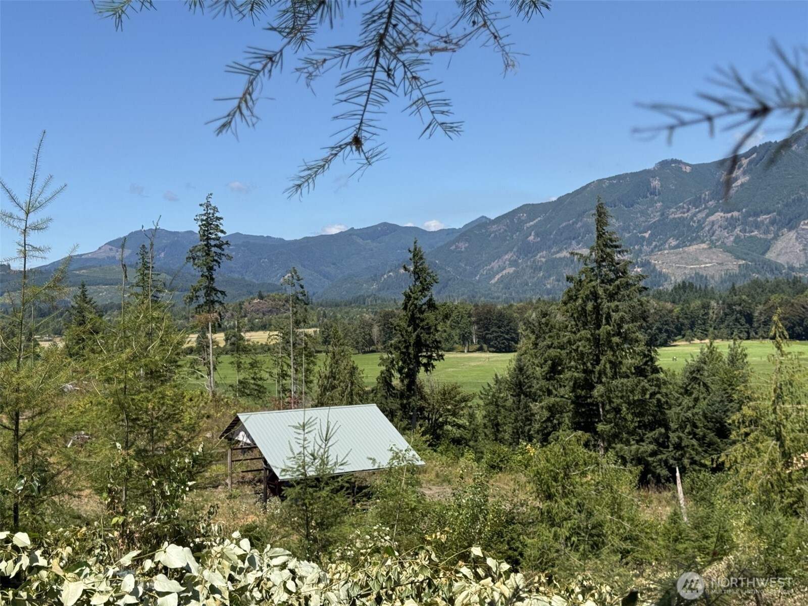 4 Skinner Road Randle, WA 98377 - Photo 9 of 36