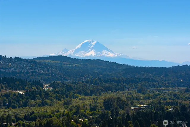 a view of a mountain in the distance