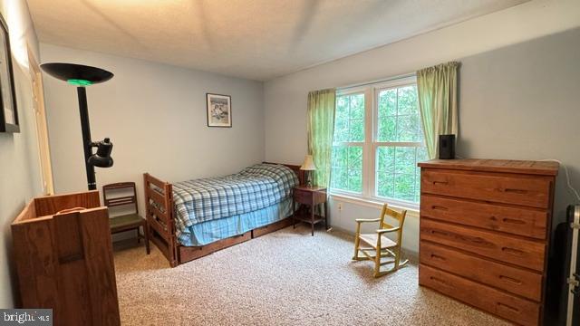 1740 Fairmount Road Hampstead, MD 21074 - Photo 25 of 85