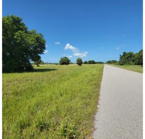 a view of a big yard with potted plants and large tree