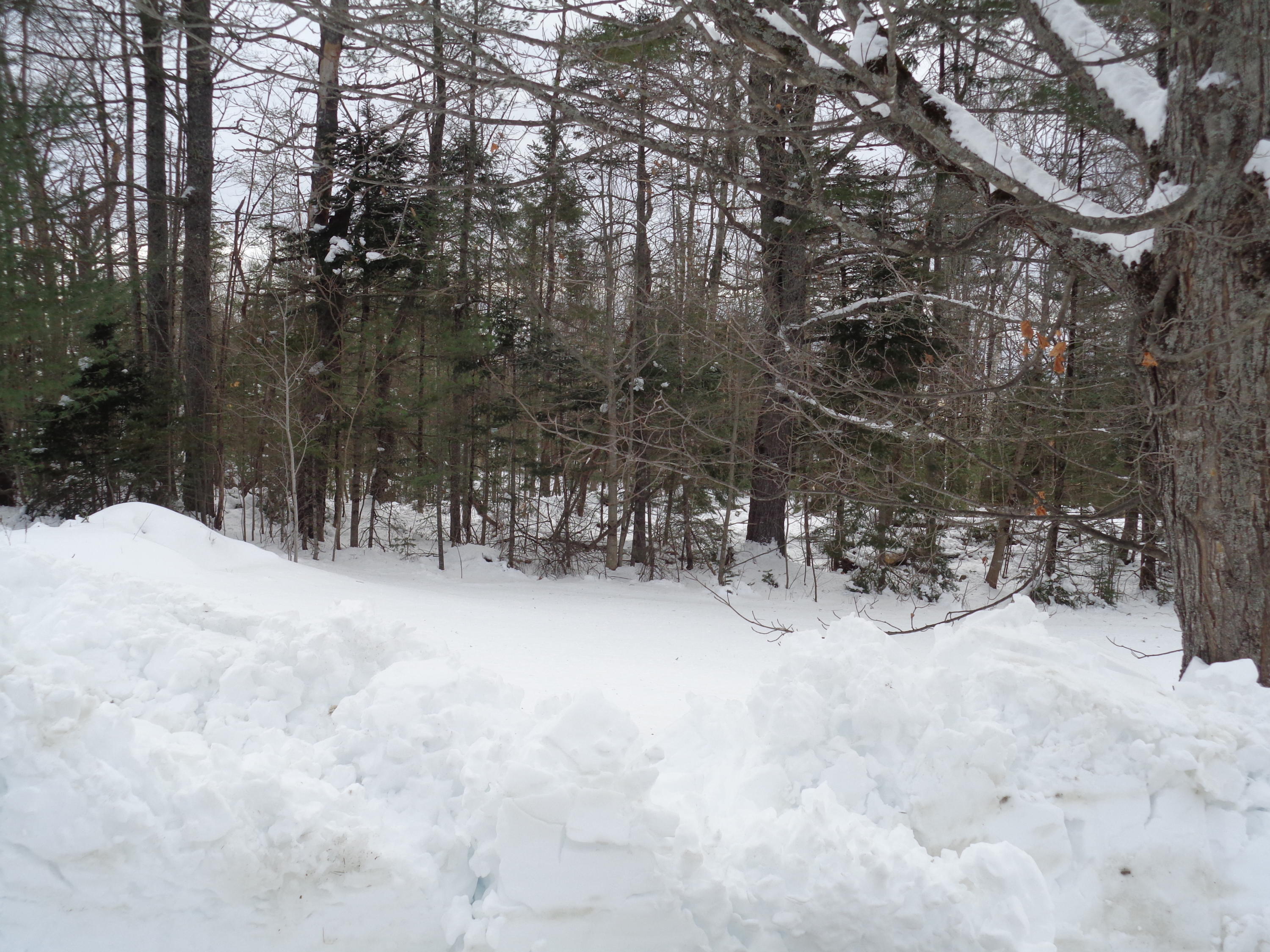 1797 Dexter Road Dover-Foxcroft, ME 04426 - Photo 19 of 19 DSC03431