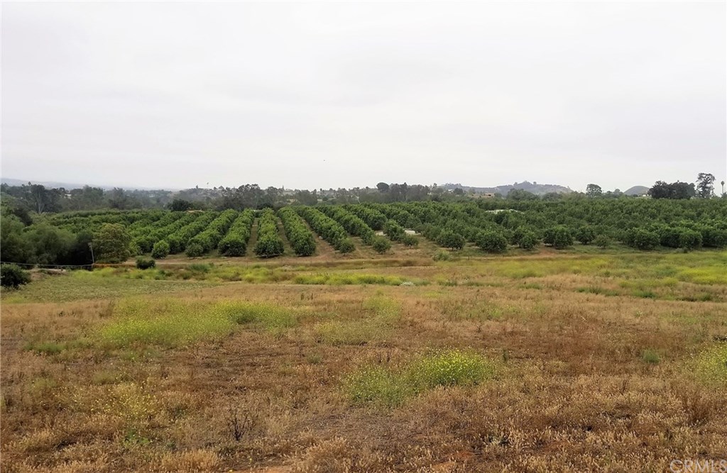 0 Lake Ridge Road Fallbrook, CA 92028 - Photo 6 of 11