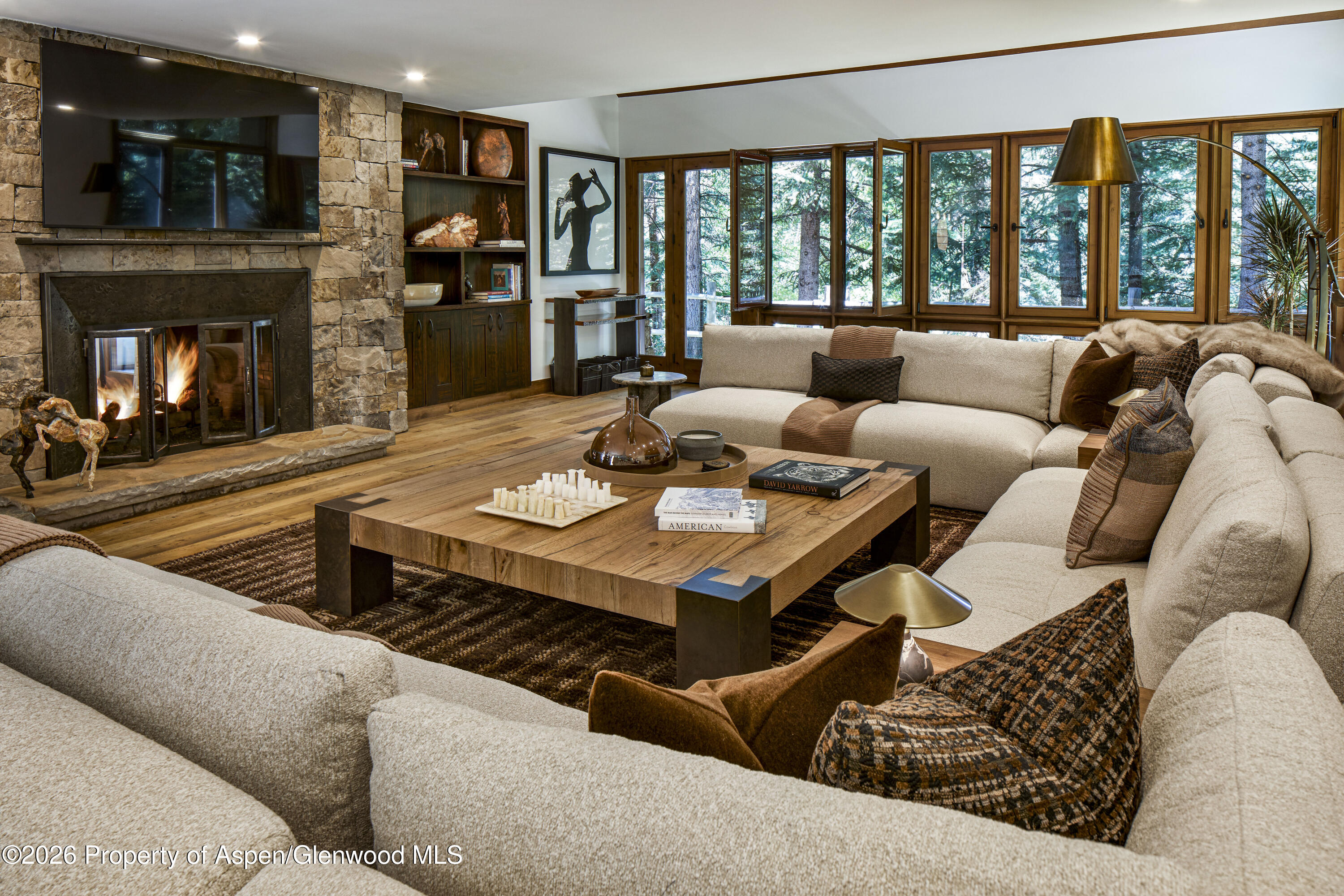 970 Powder Lane Aspen, CO 81611 - Photo 11 of 18 Living Room