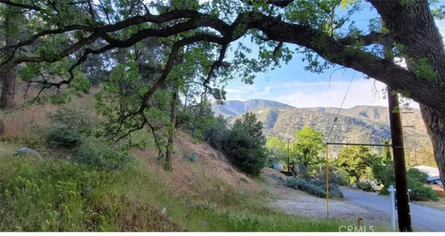 $25,000 | 0 Pine Canyon Road, Frazier Park, CA 93225