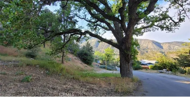 $25,000 | 0 Pine Canyon Road, Frazier Park, CA 93225