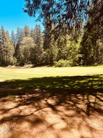 $1,200,000 | 633 Forest Meadows Drive, Murphys, CA 95247