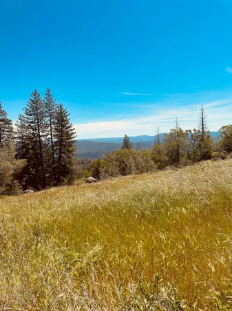 $1,200,000 | 633 Forest Meadows Drive, Murphys, CA 95247