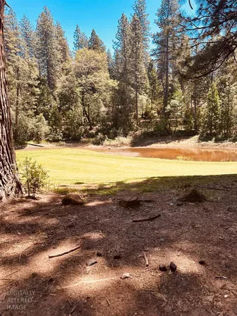 a view of a lake with trees