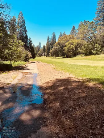 $1,200,000 | 633 Forest Meadows Drive, Murphys, CA 95247