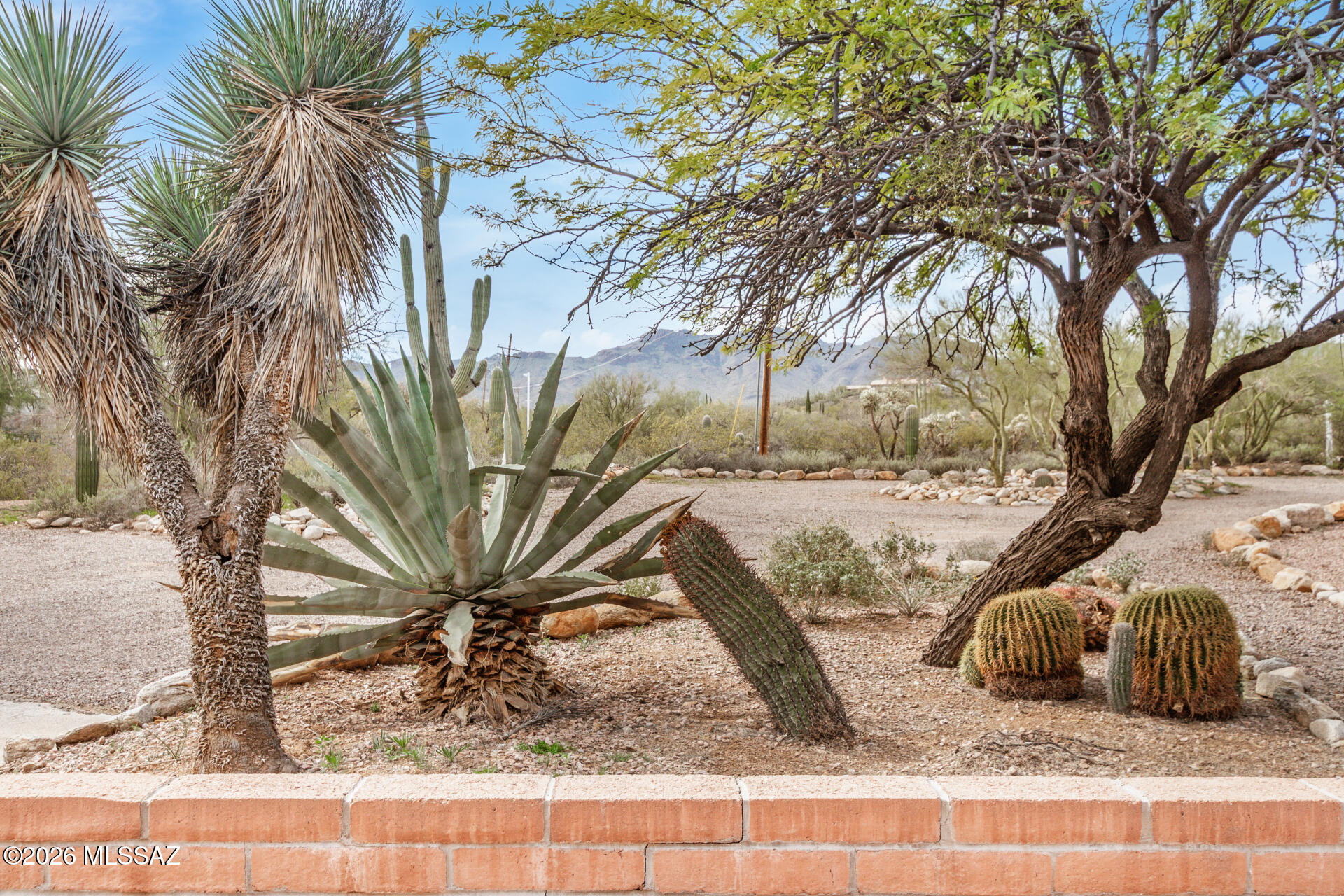 4290 North Tortolita Road Tucson, AZ 85745 - Photo 8 of 43