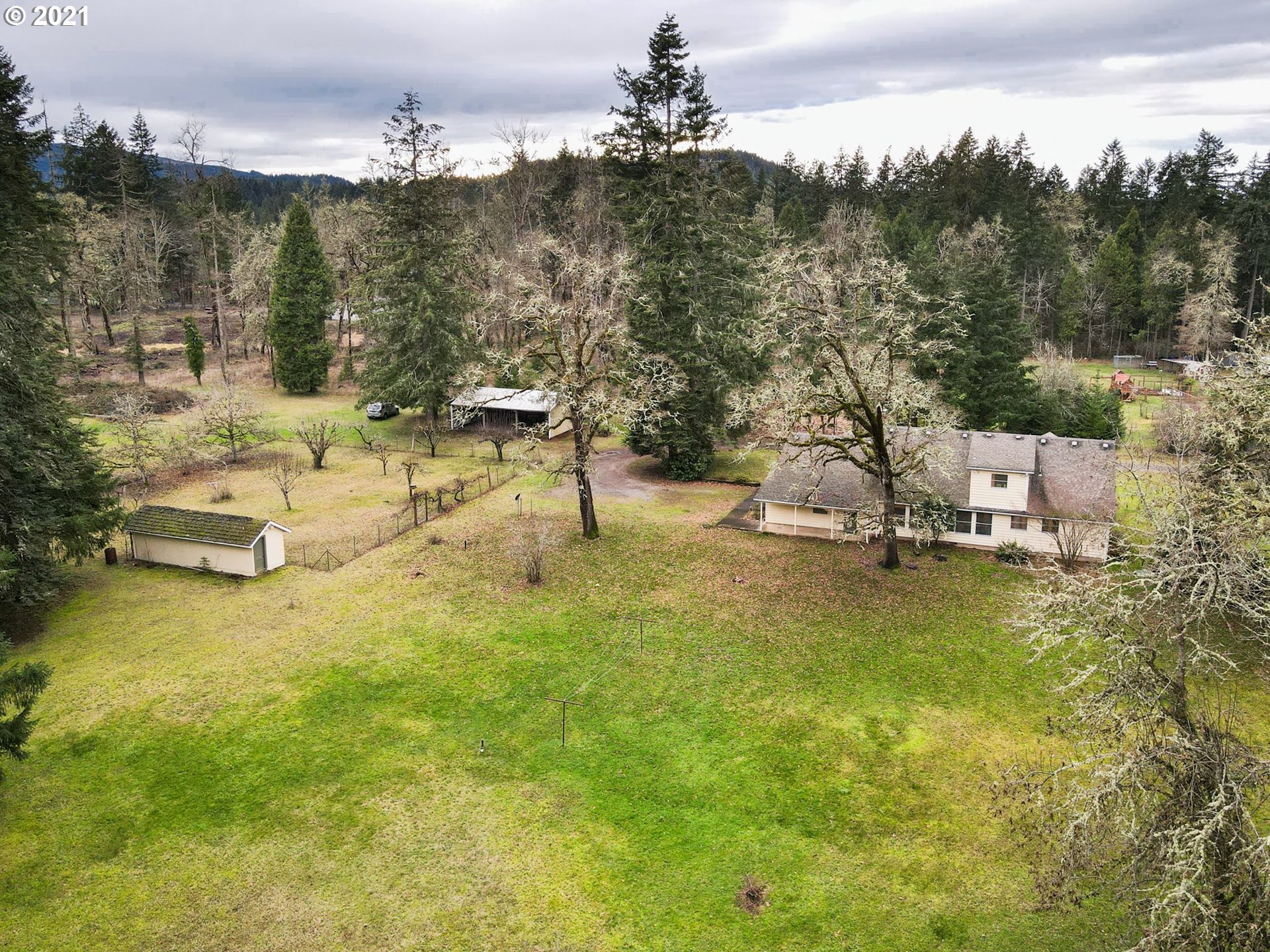 84007 Brown Road Dexter, OR 97431 - Photo 5 of 31