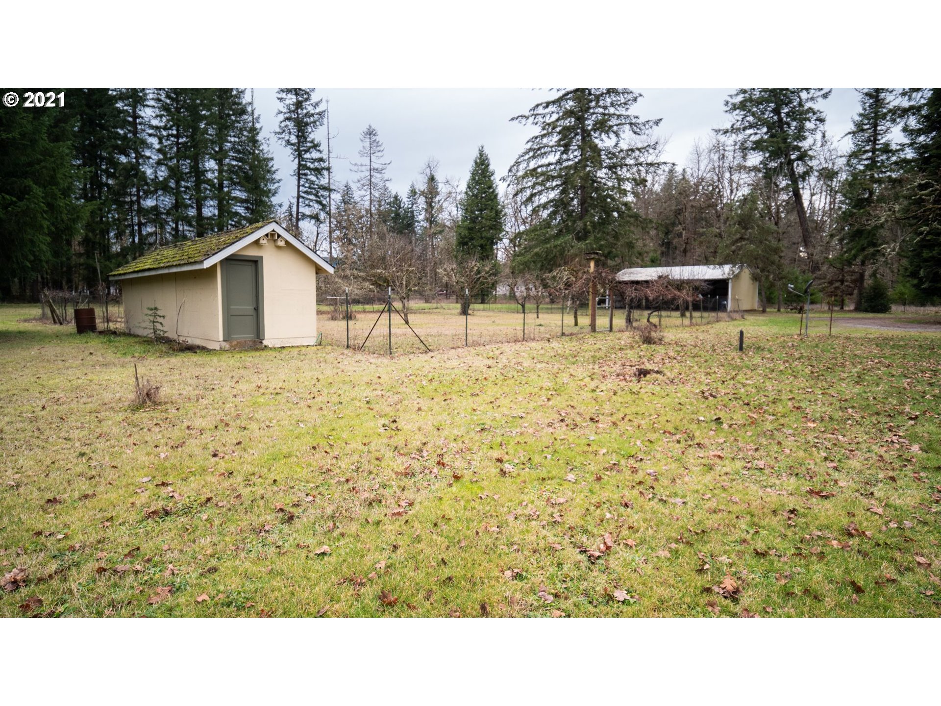 84007 Brown Road Dexter, OR 97431 - Photo 6 of 31