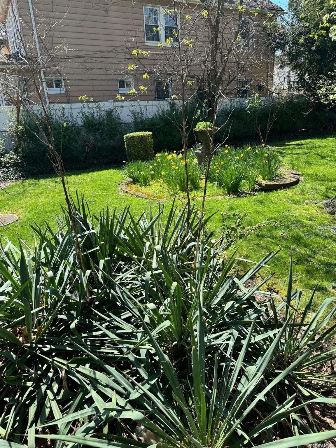 a view of yard with green space
