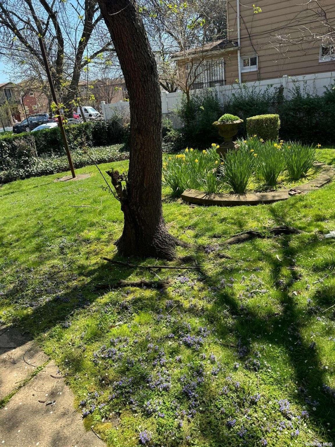 Ditmars Boulevard Manhattan, NY 10029 - Photo 4 of 8 a view of a garden with a tree