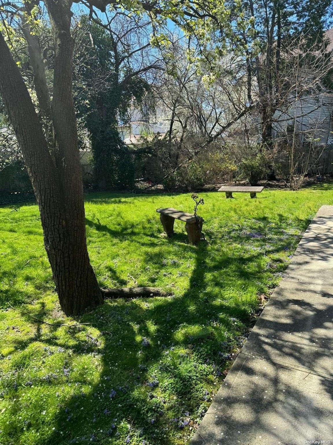 Ditmars Boulevard Manhattan, NY 10029 - Photo 5 of 8 a view of a garden with a bench
