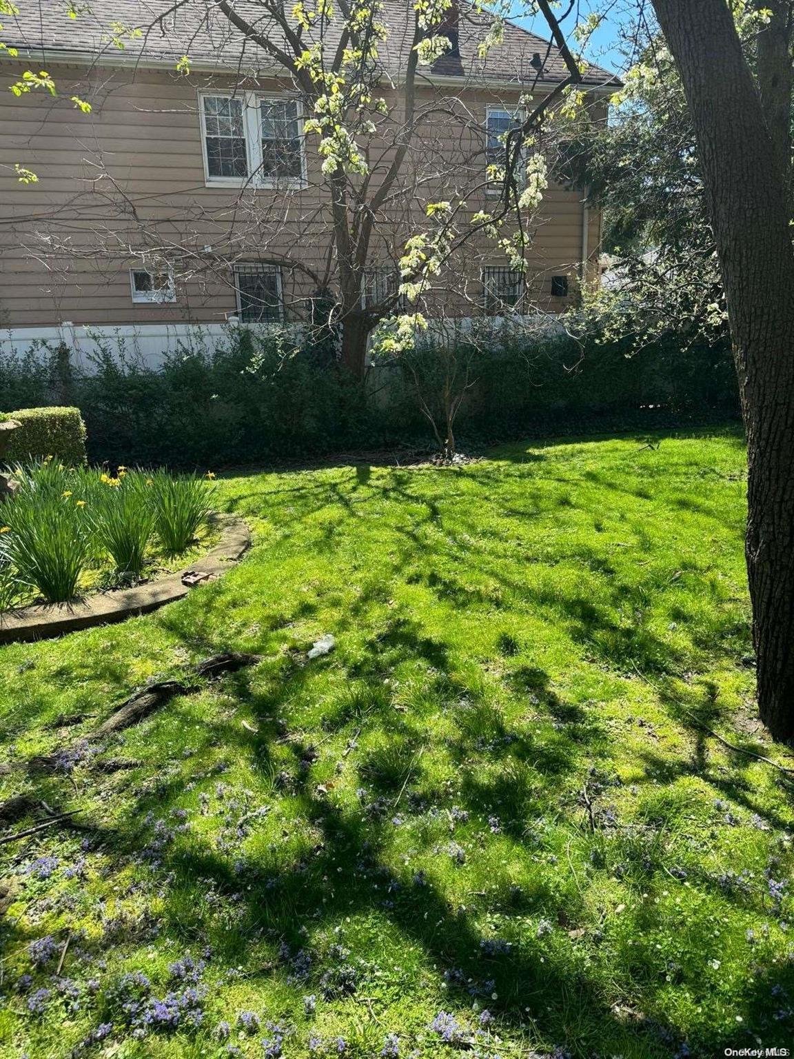 Ditmars Boulevard Manhattan, NY 10029 - Photo 7 of 8 a view of a yard with plants and large trees