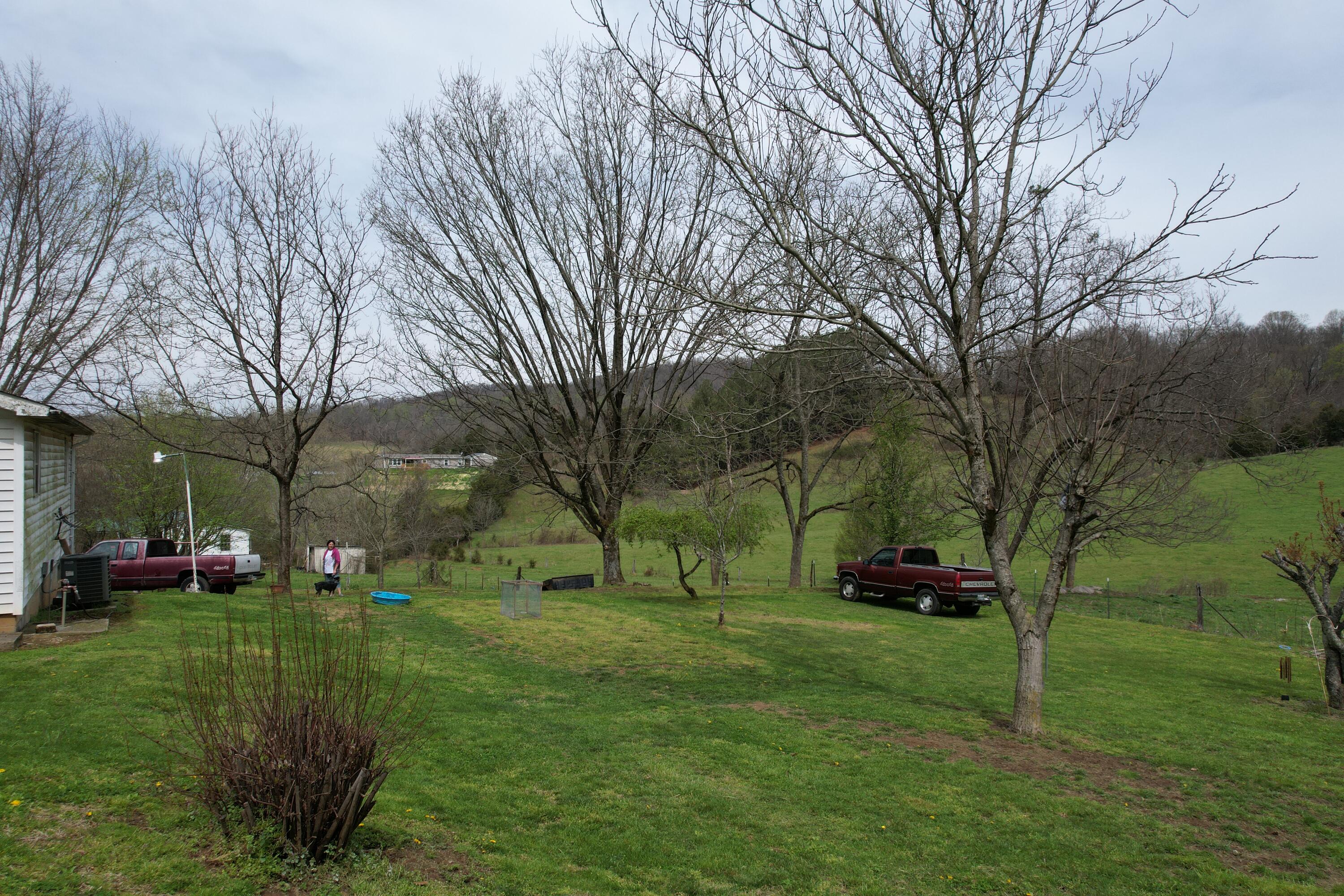 1660 Rock Quarry Road Afton, TN 37616 - Photo 17 of 32 Back yard