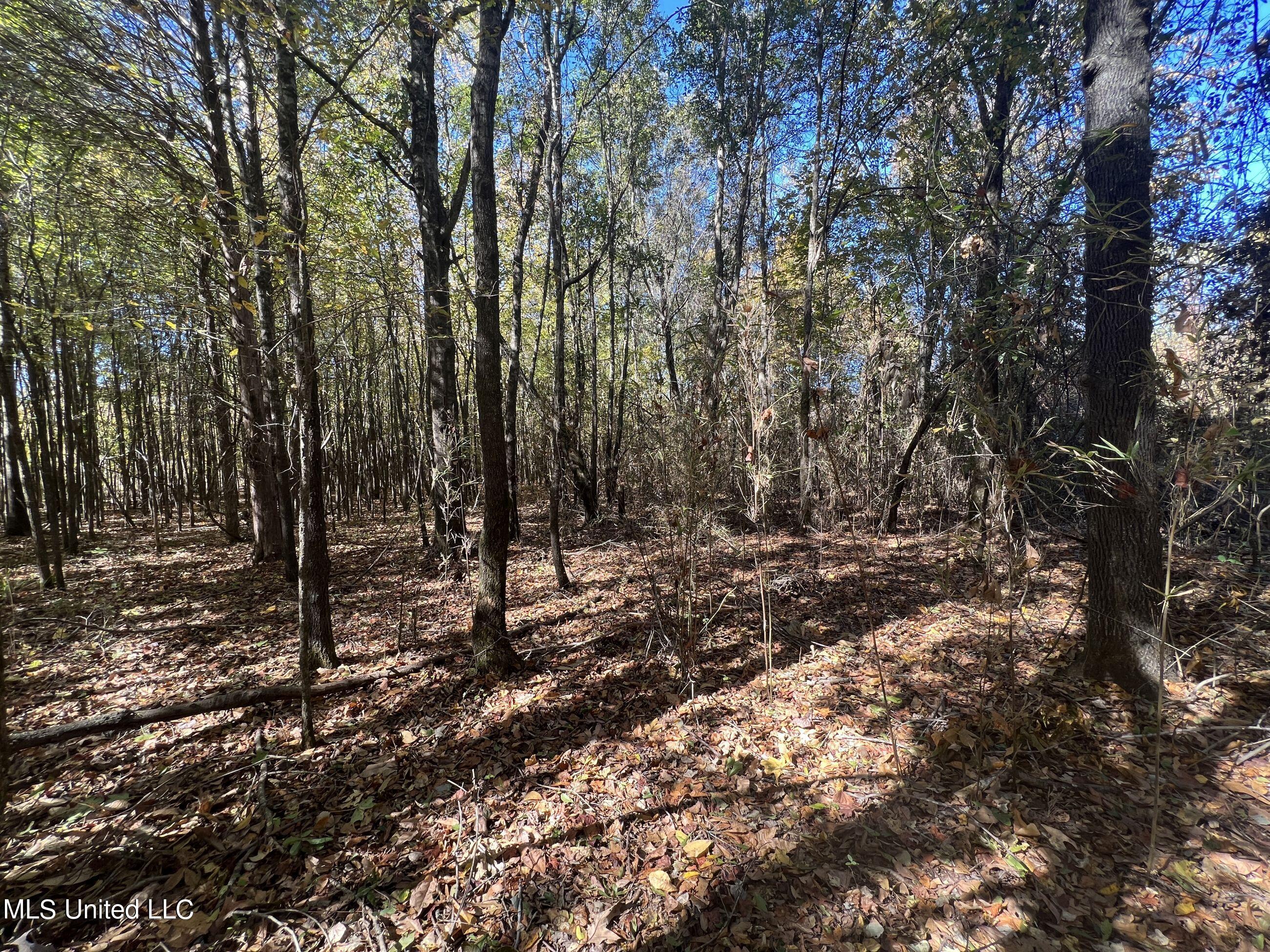 5151 Nash Road Batesville, MS 38606 - Photo 53 of 75 3irvi47