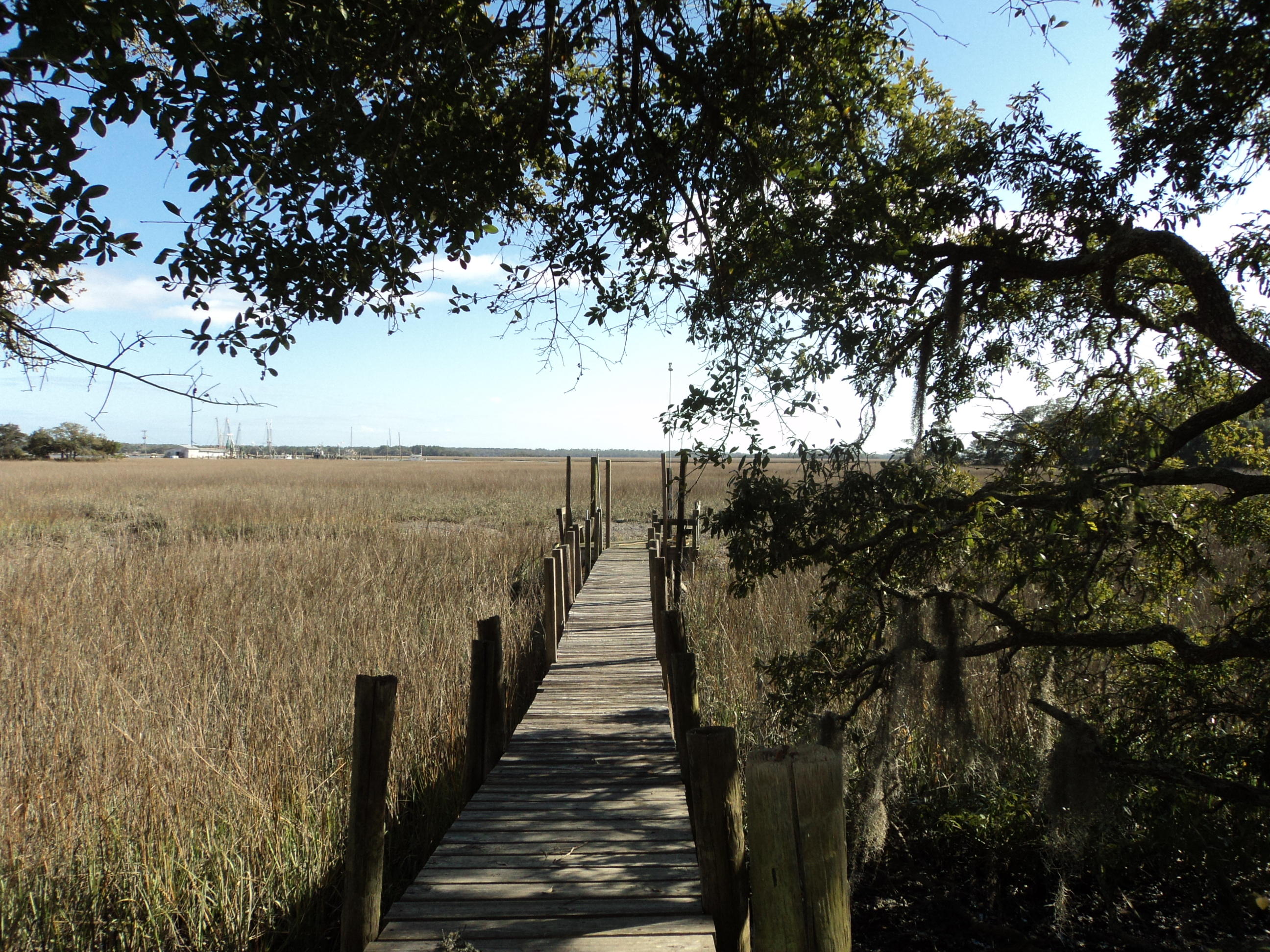 2547 Cherry Point Road Wadmalaw Island, SC 29487 - Photo 1 of 13 020.JPG