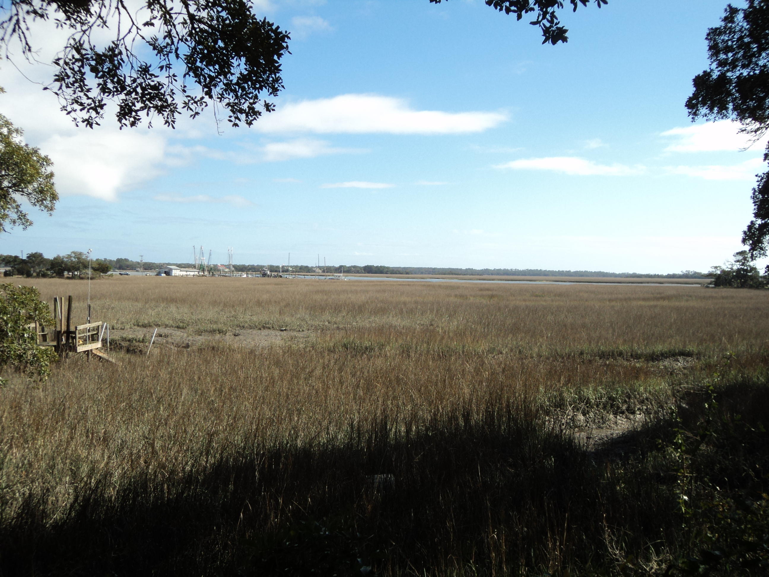 2547 Cherry Point Road Wadmalaw Island, SC 29487 - Photo 2 of 13 018.JPG