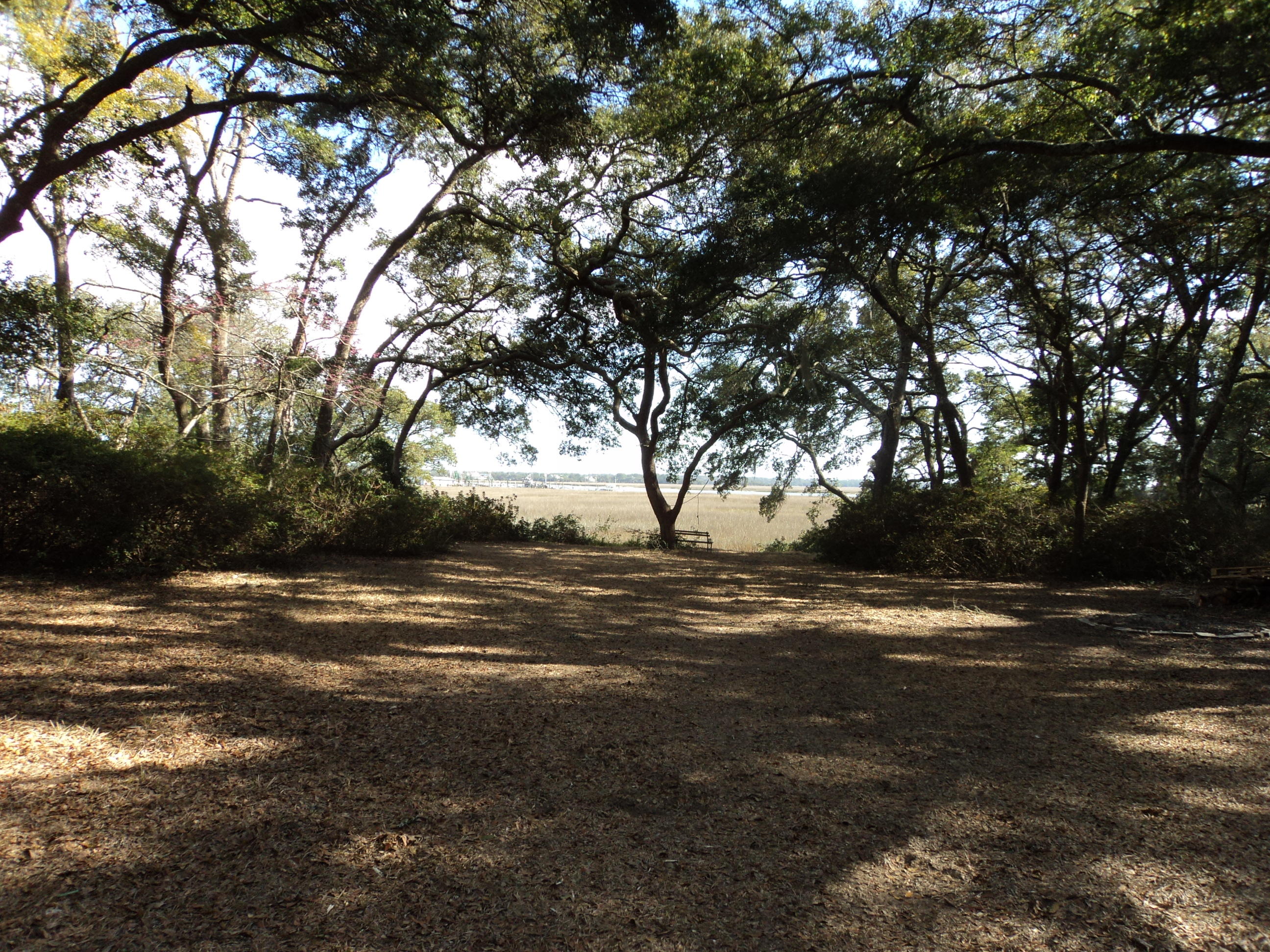 2547 Cherry Point Road Wadmalaw Island, SC 29487 - Photo 5 of 13 017.JPG