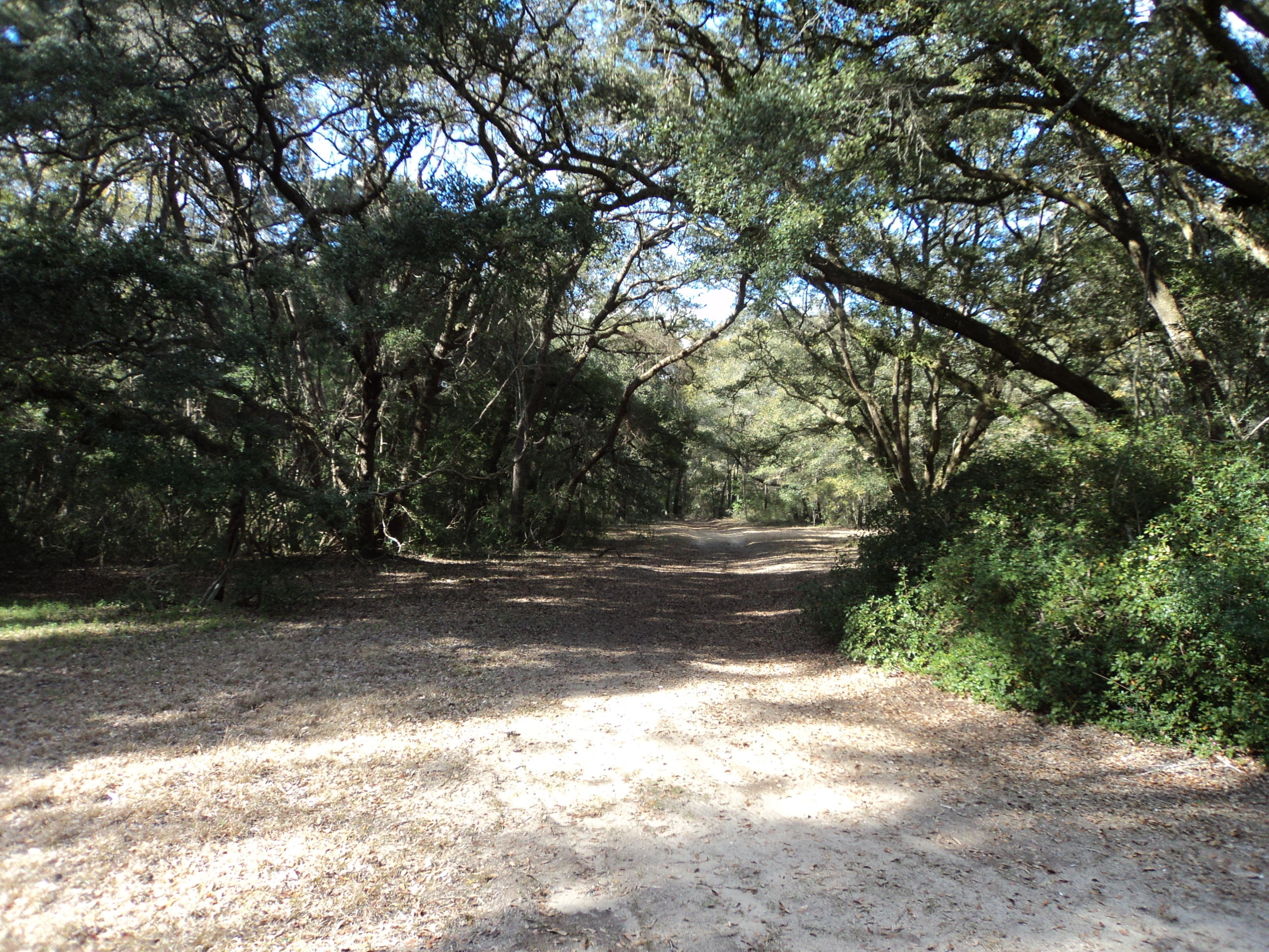 2547 Cherry Point Road Wadmalaw Island, SC 29487 - Photo 6 of 13 014.JPG