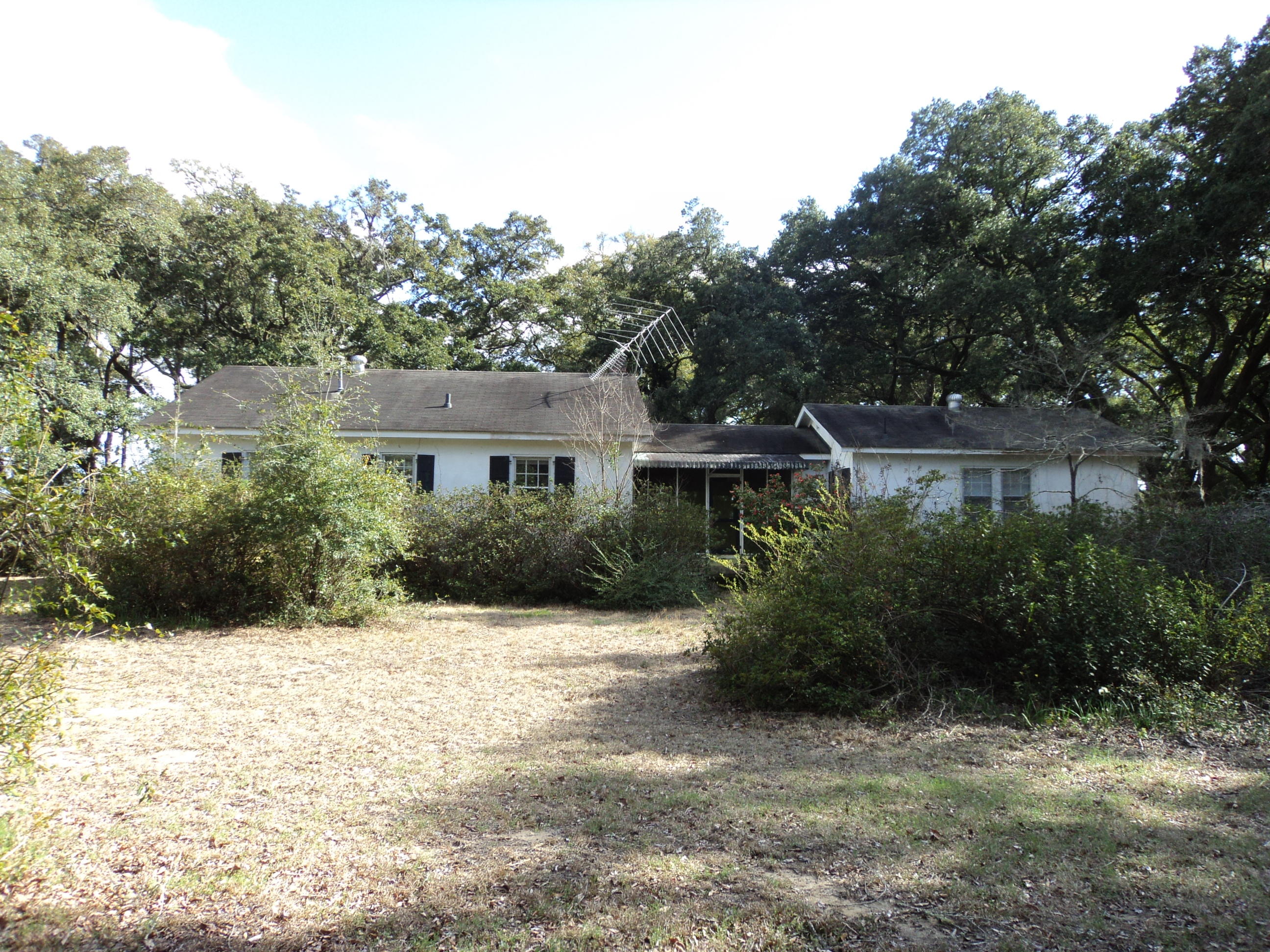 2547 Cherry Point Road Wadmalaw Island, SC 29487 - Photo 7 of 13 015.JPG