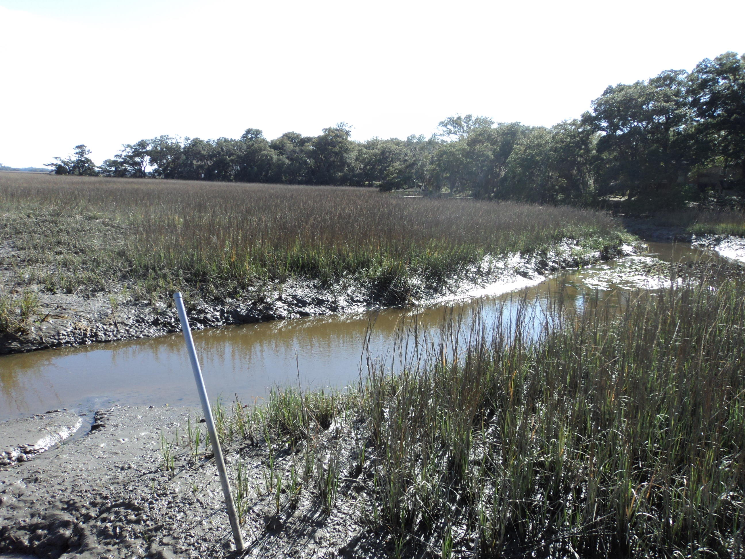 2547 Cherry Point Road Wadmalaw Island, SC 29487 - Photo 8 of 13 019.JPG