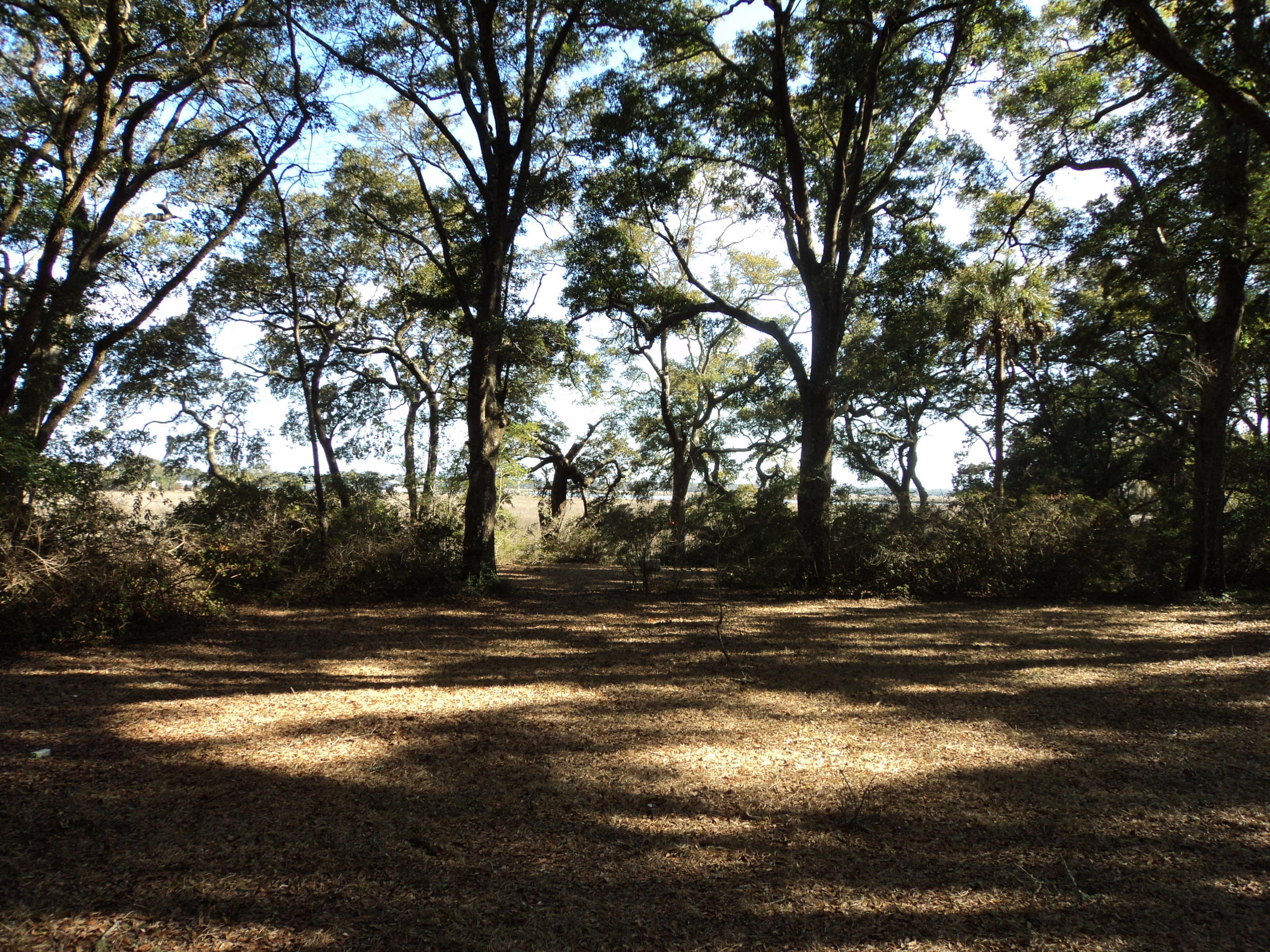 2547 Cherry Point Road Wadmalaw Island, SC 29487 - Photo 10 of 13 022.JPG