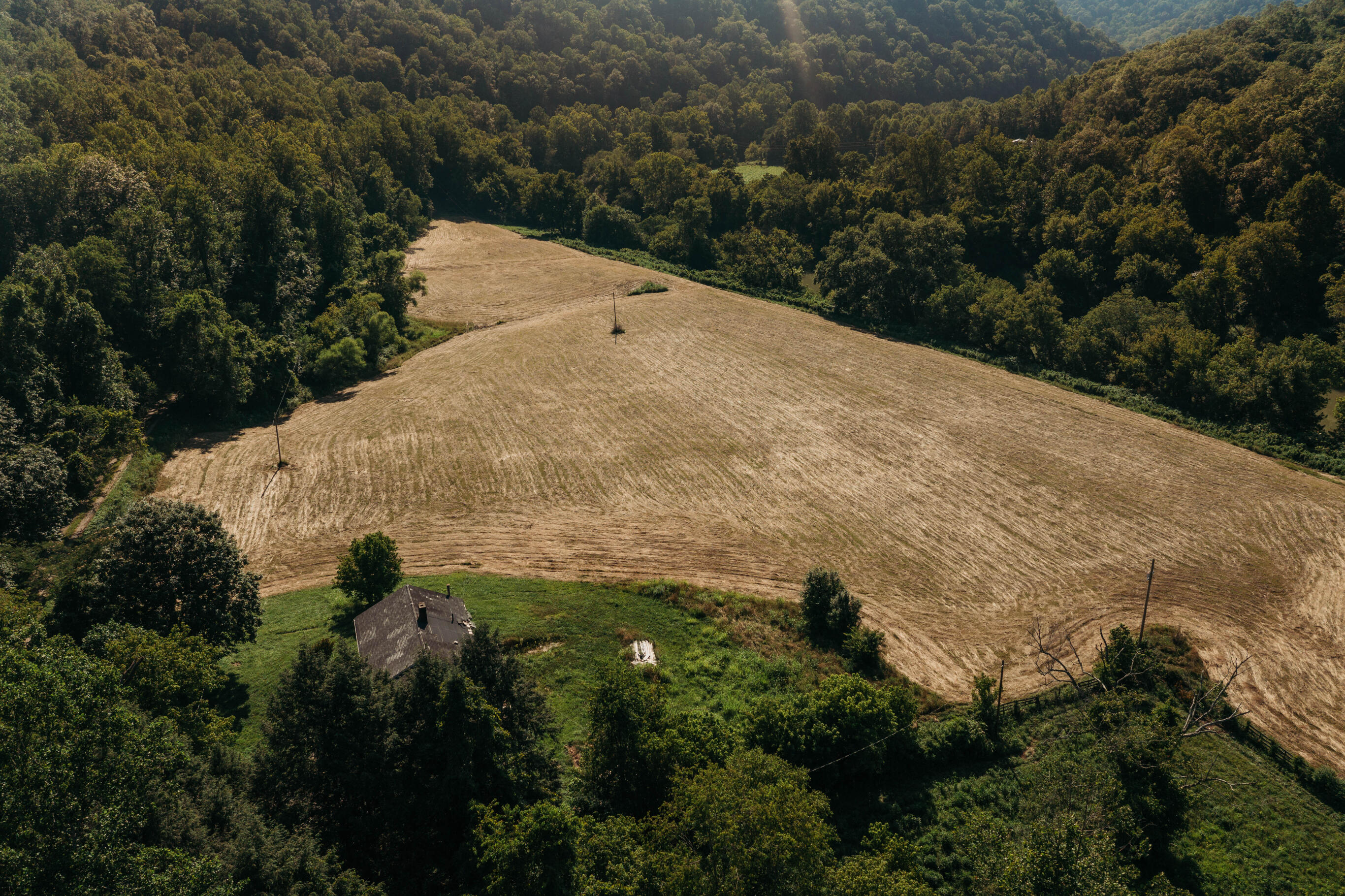 251 Everett Byrd Road Ricetown, KY 41364 - Photo 15 of 54 251 Everett Byrd Rd5