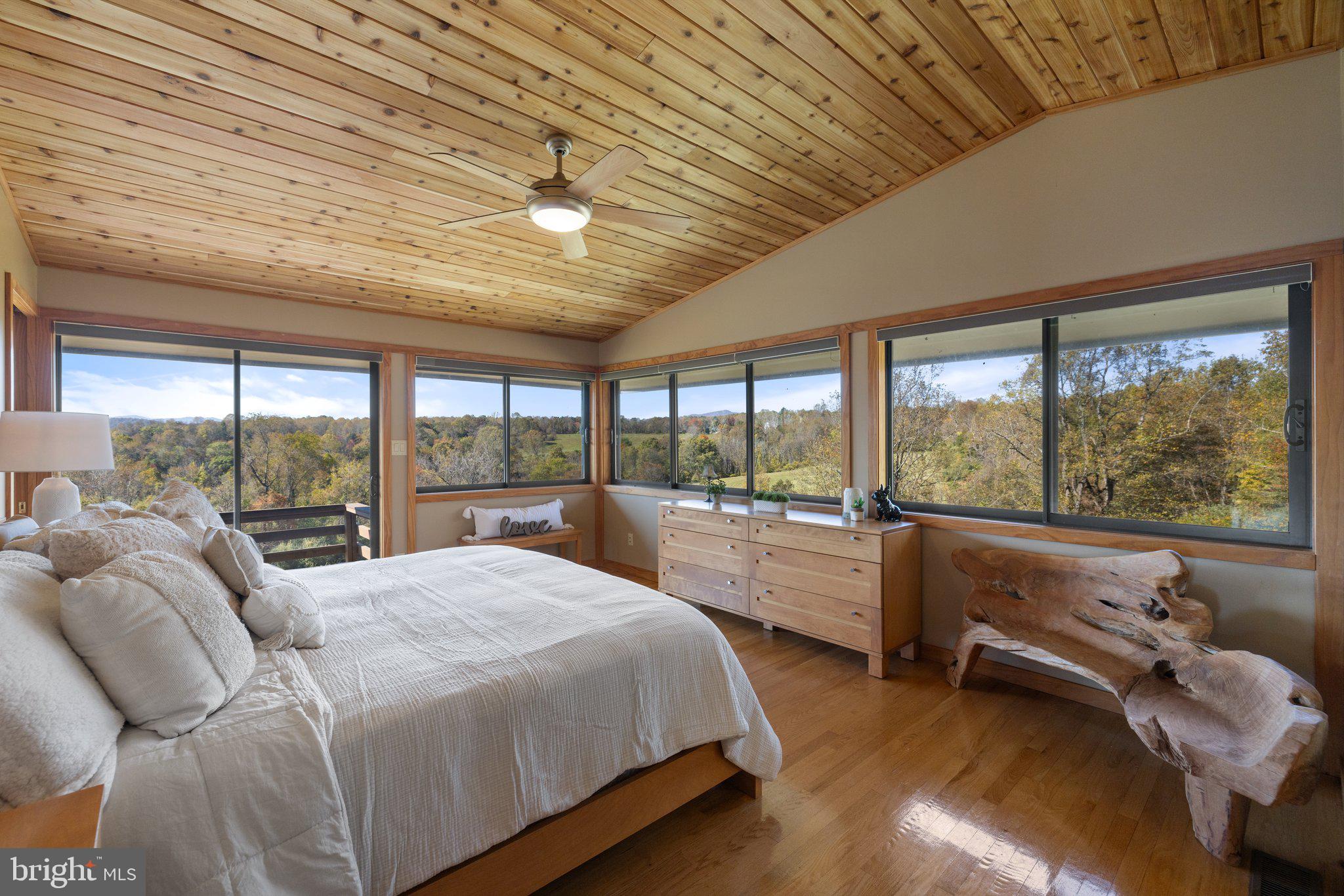 72 Jordans Road Amissville, VA 20106 - Photo 15 of 50 Primary Suite with mountain views