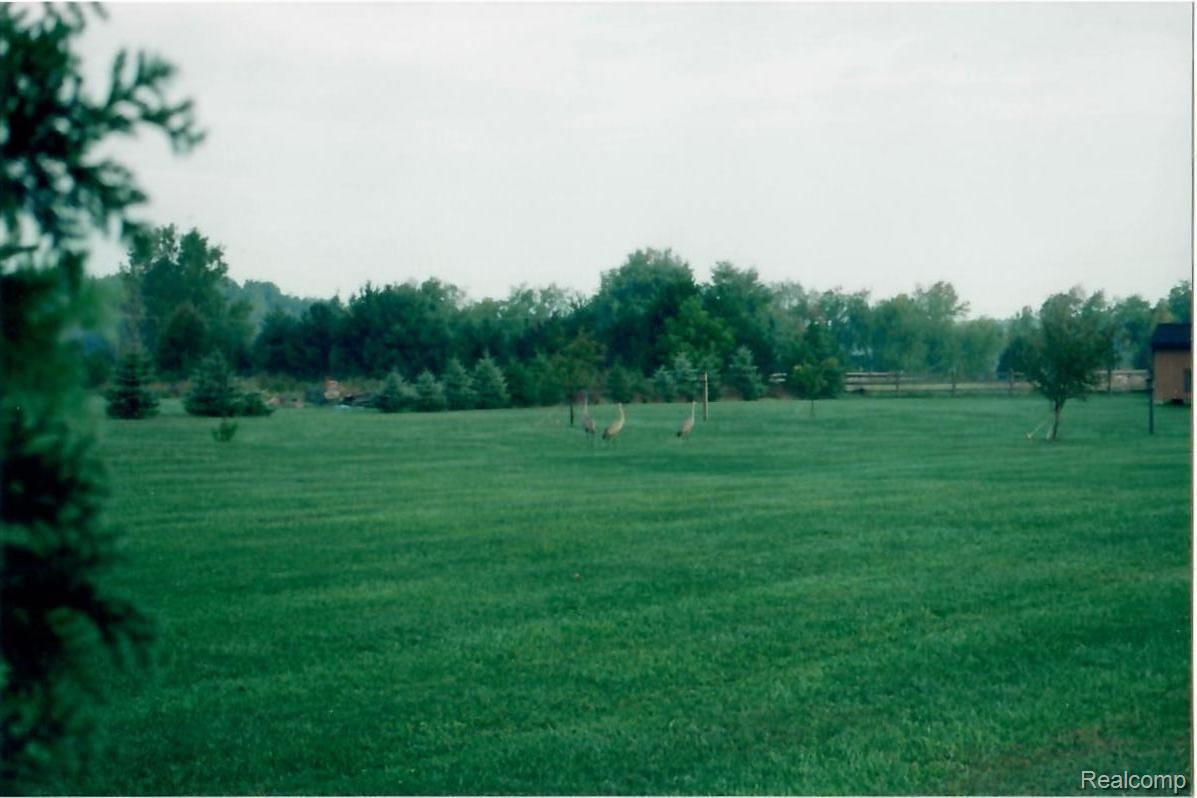 2872 Patterson Lk Road Pinckney, MI 48169 - Photo 21 of 33 21 YARD.jpg