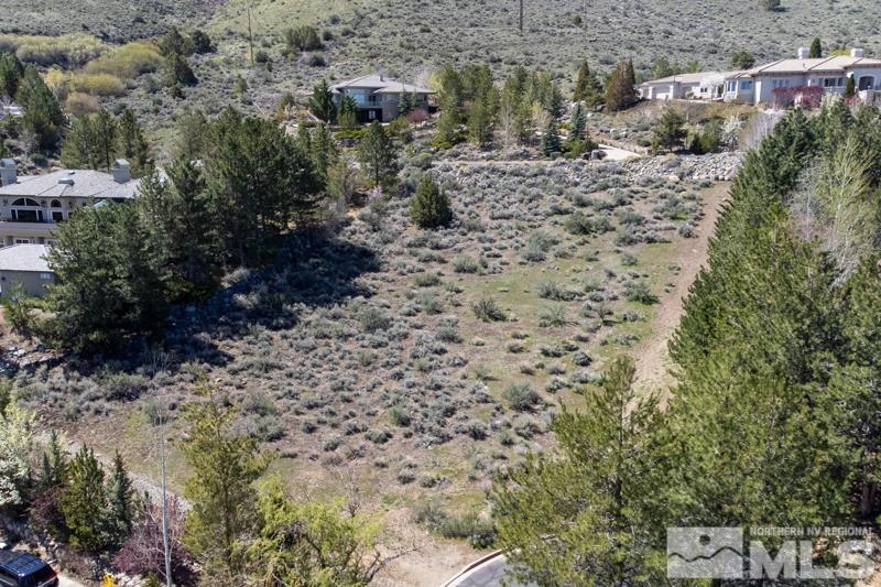 50 Sharps Circle Reno, NV 89519 - Photo 14 of 24 a view of a yard with plants and trees