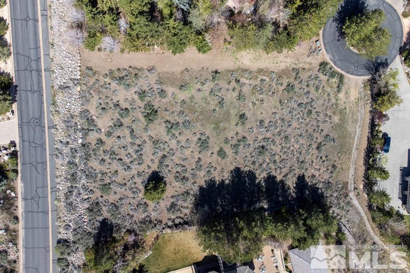 50 Sharps Circle Reno, NV 89519 - Photo 4 of 24 a view of a garden with a tree