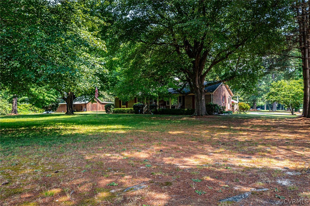 31 Bunker Hill Road Farnham, VA 22460 - Photo 41 of 47 a view of green field with tree in the background