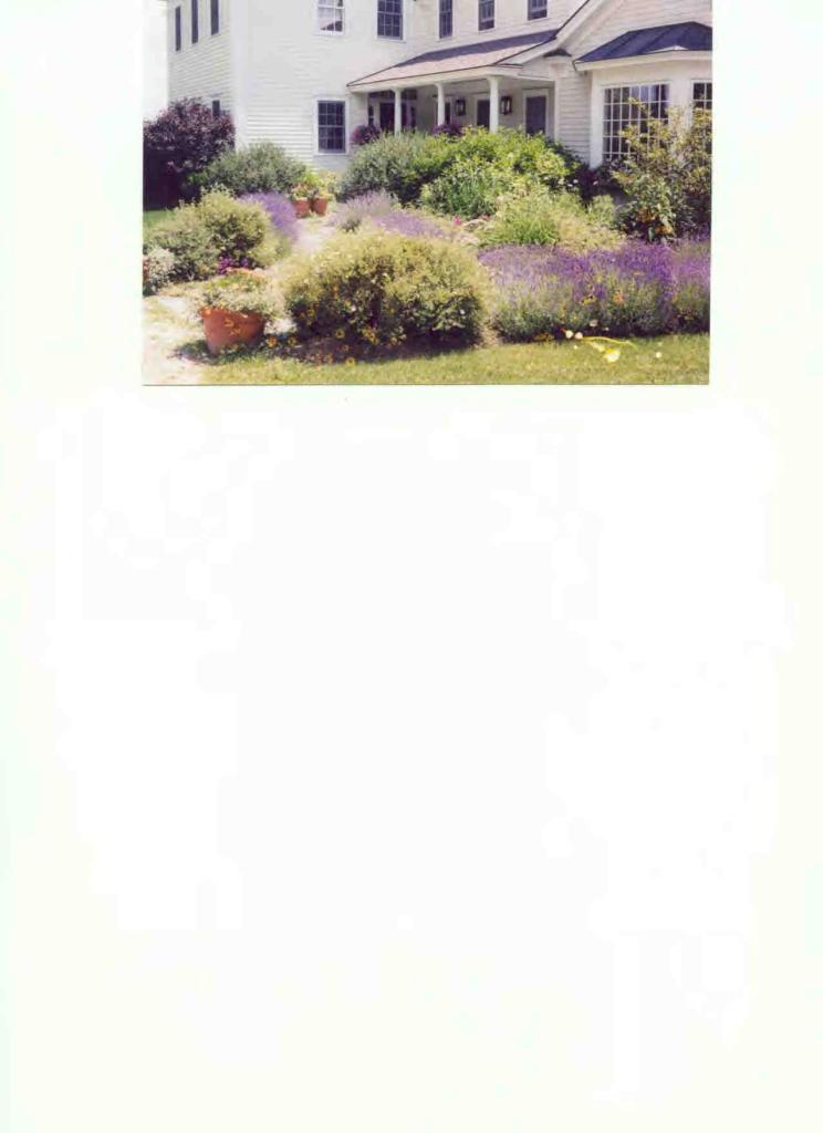 165 Perry Peak Road Richmond, MA 01254 - Photo 5 of 7 a picture of a person on a street