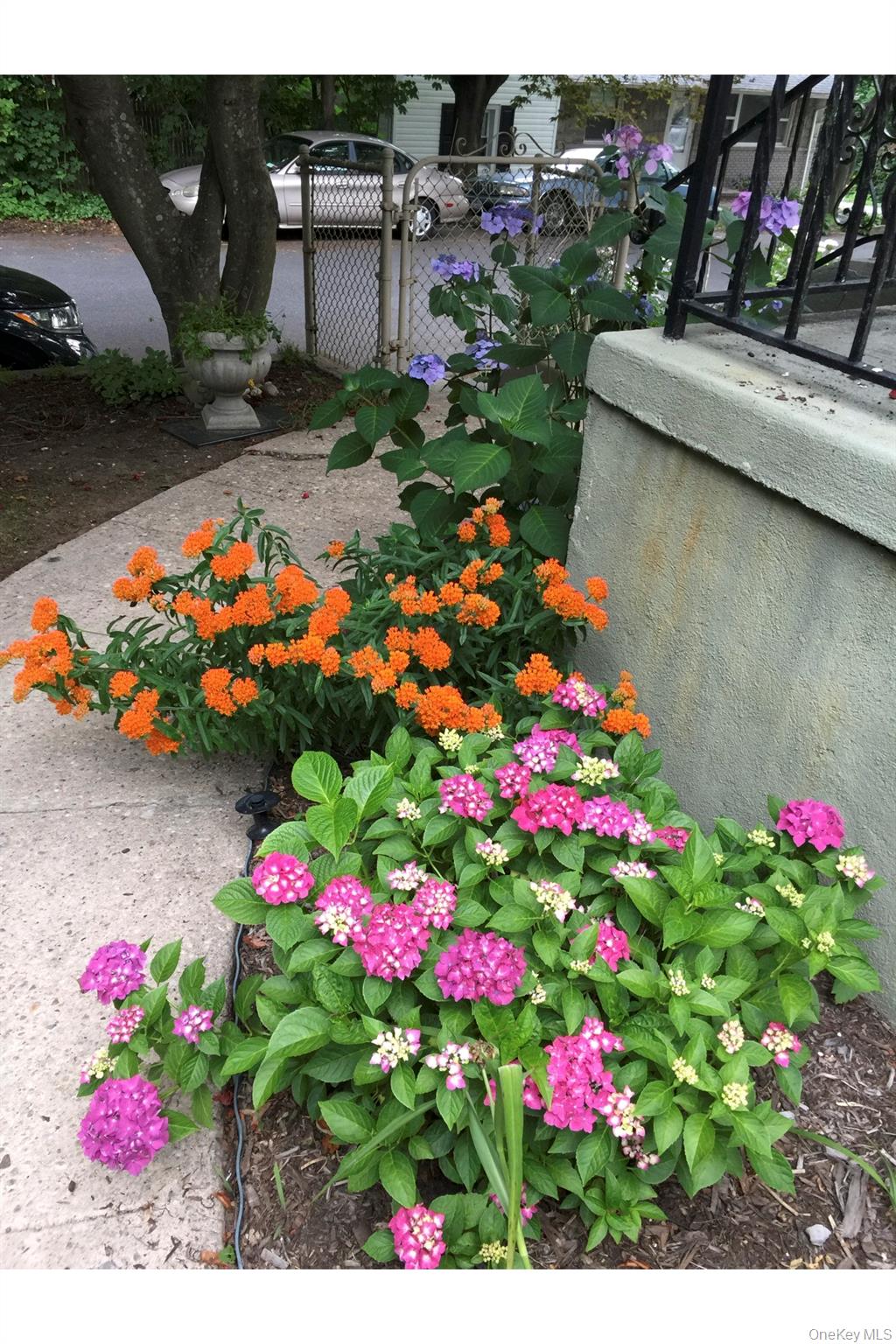 3 Vine Road Rocky Point, NY 11778 - Photo 15 of 19