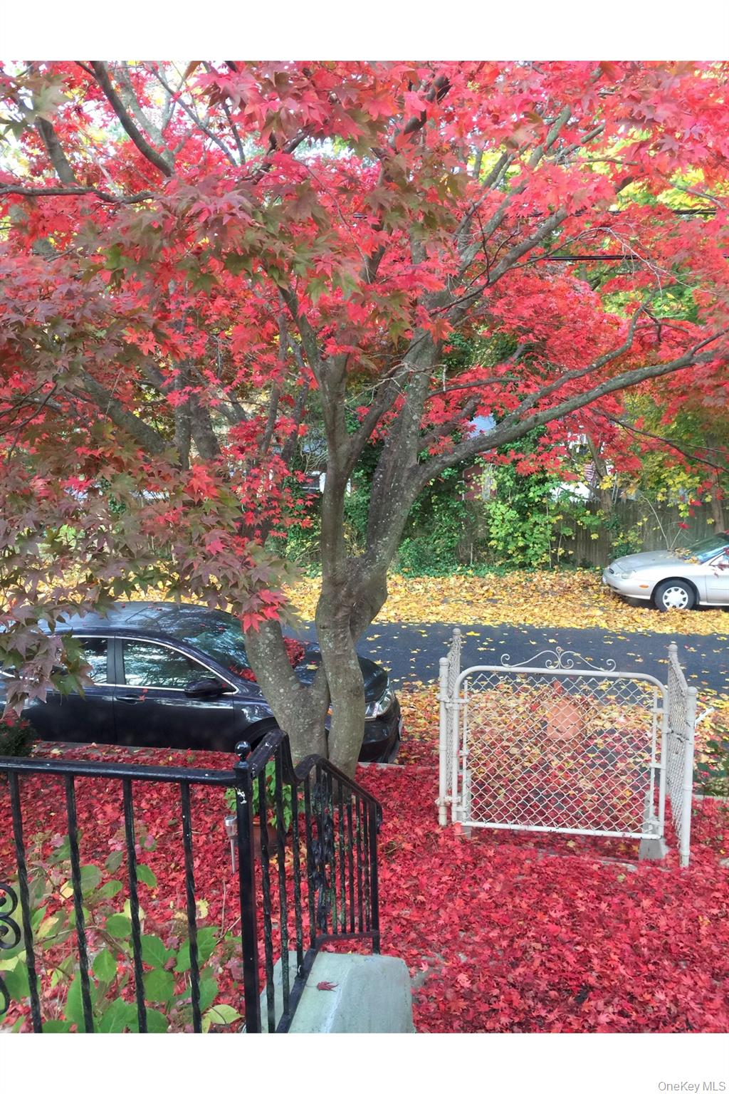 3 Vine Road Rocky Point, NY 11778 - Photo 17 of 19