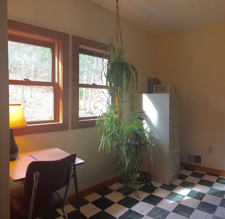 1325 Bay Road Amherst, MA 01002 - Photo 28 of 30 a room with furniture and a potted plant