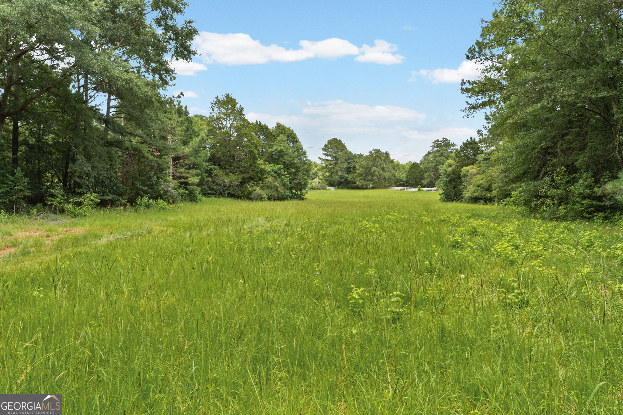 775 Buddy-West Road Newnan, GA 30263 - Photo 102 of 137