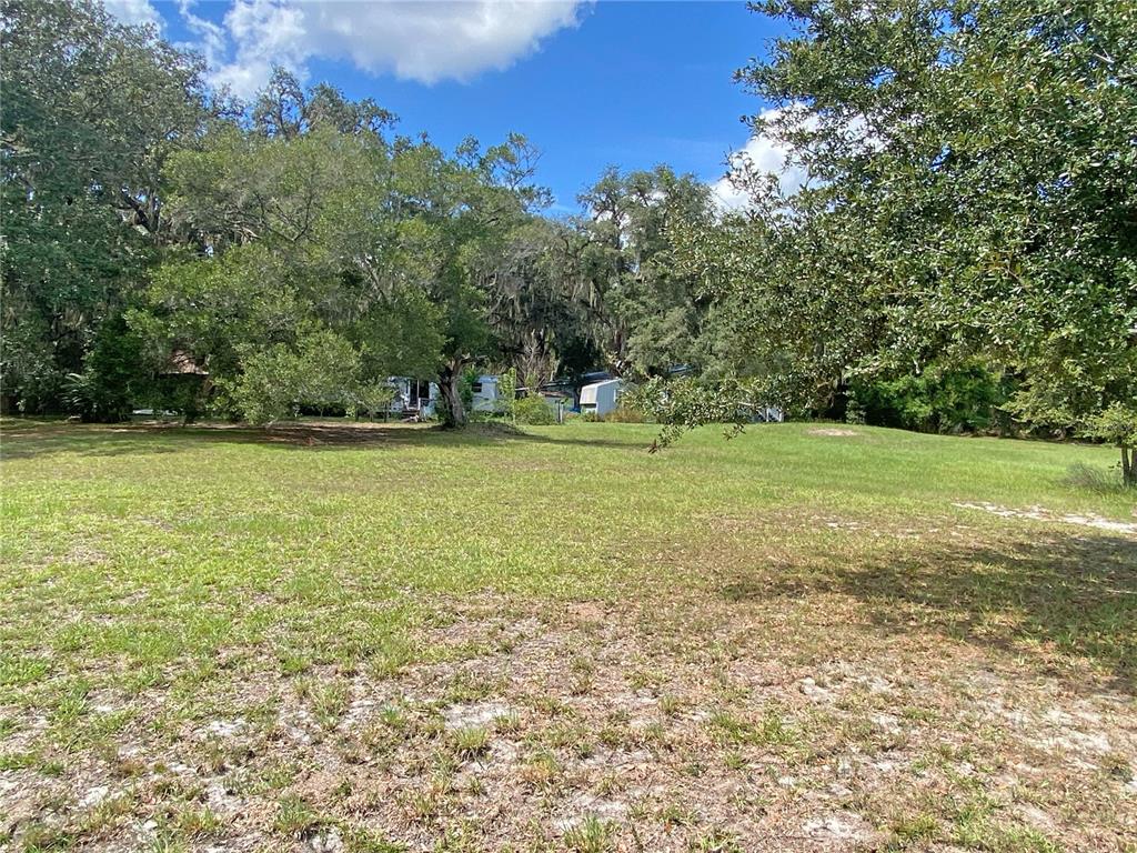 148 Swan Lake Road Melrose, FL 32666 - Photo 28 of 30 a view of a green field with lots of bushes
