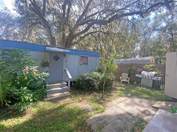 a backyard with potted plants and a large tree