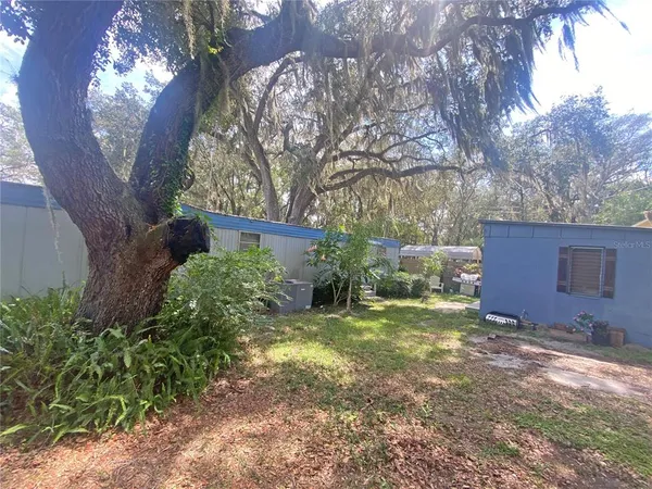 a view of a yard in front of a house with large trees and plants