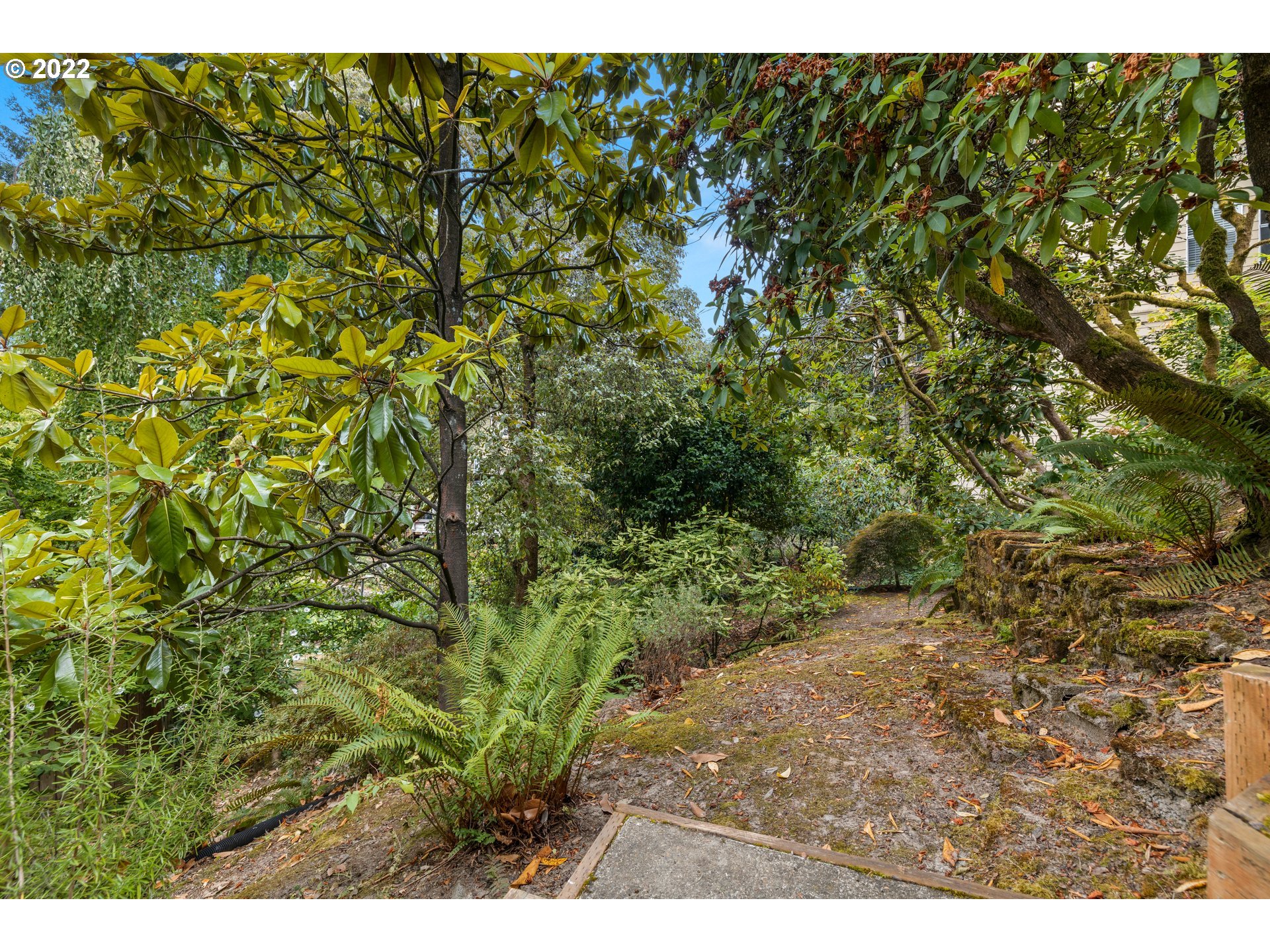 1911 Southwest Elizabeth Street Portland, OR 97201 - Photo 20 of 25 Gallery Image 20