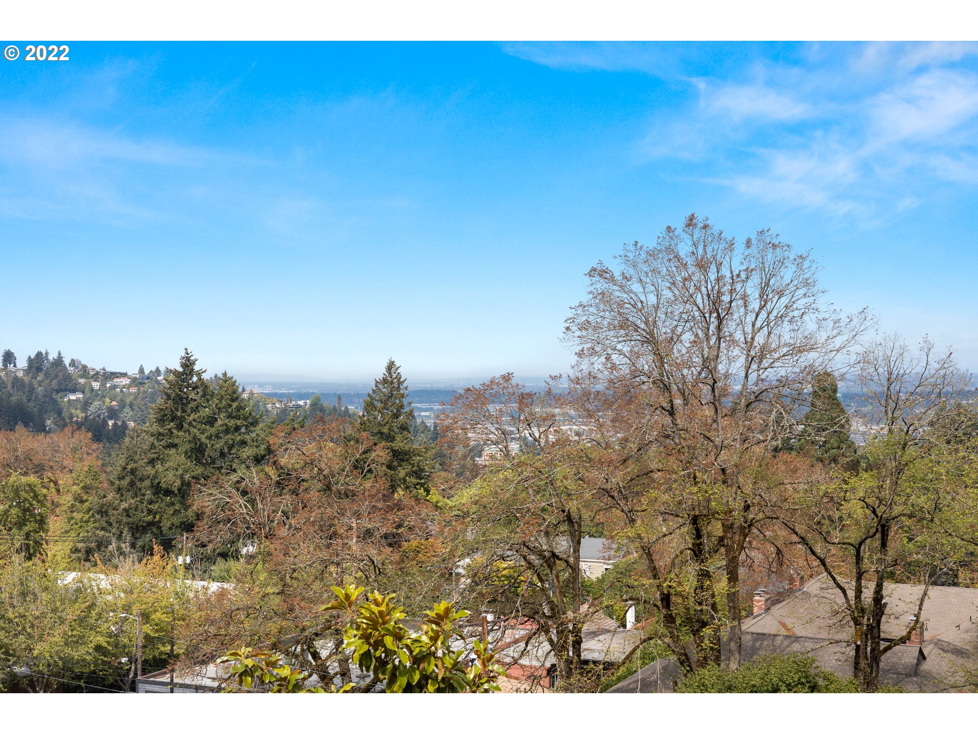 1911 Southwest Elizabeth Street Portland, OR 97201 - Photo 4 of 25 Gallery Image 4
