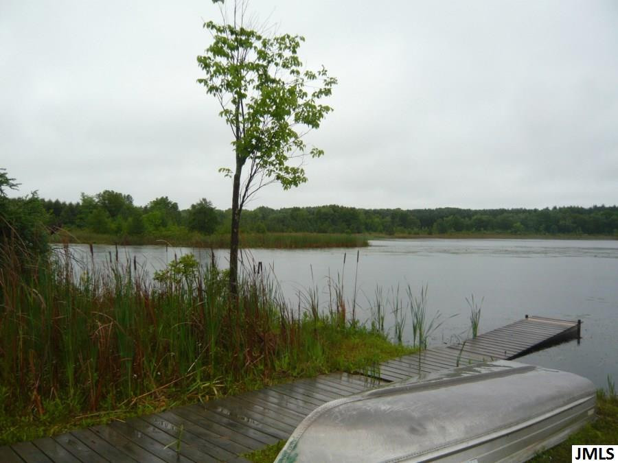 7644 Napoleon Road Jackson, MI 49201 - Photo 33 of 34 Photo 33