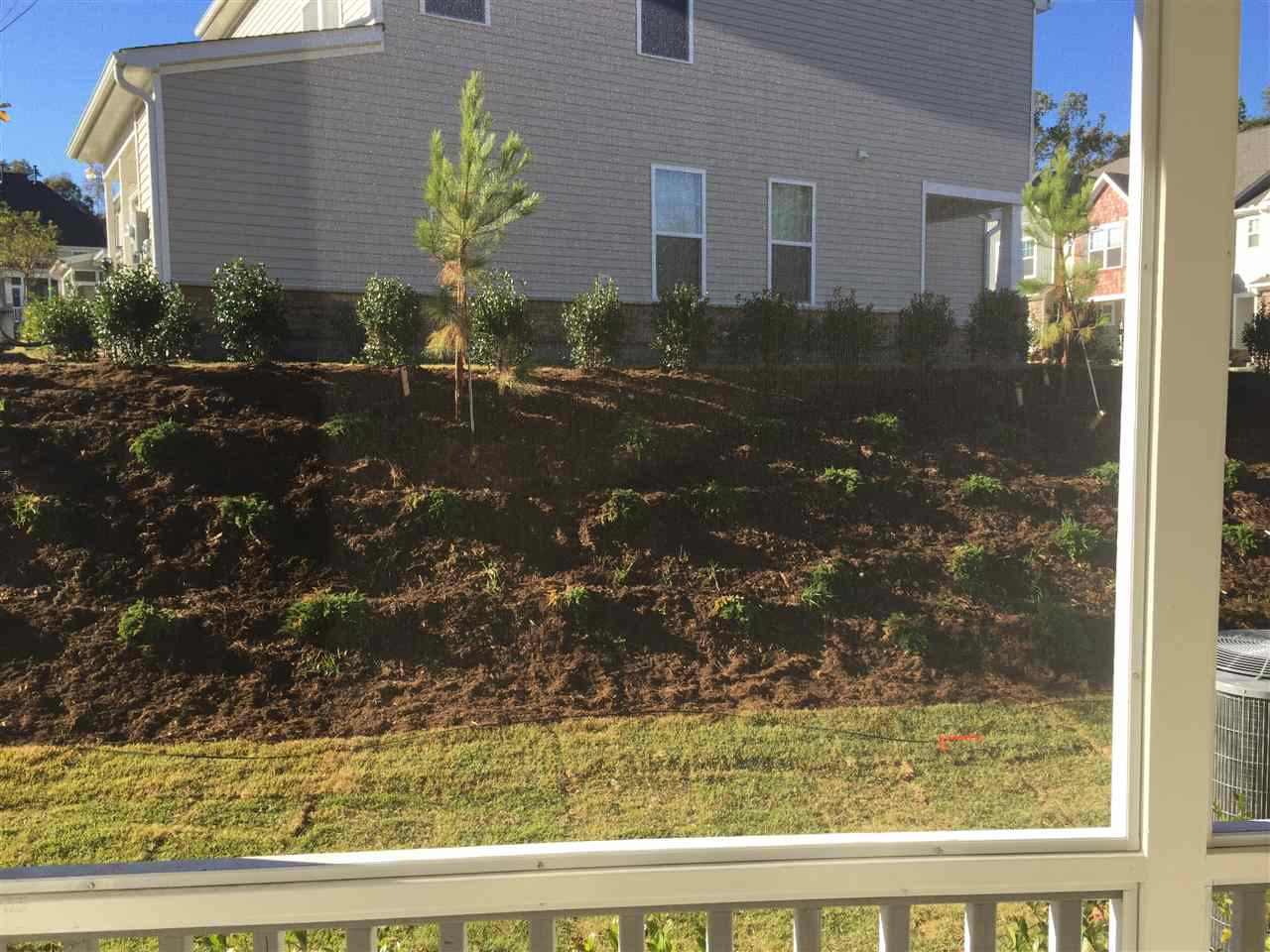 404 Talons Rest Way Cary, NC 27513 - Photo 12 of 22 Photo 12